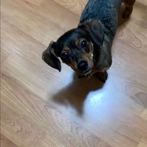 Meet your Posher, Ethan